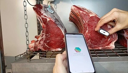 Foto de Informacin y formacin para una carne madurada segura y de calidad