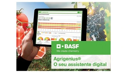 Foto de The Very Best: BASF