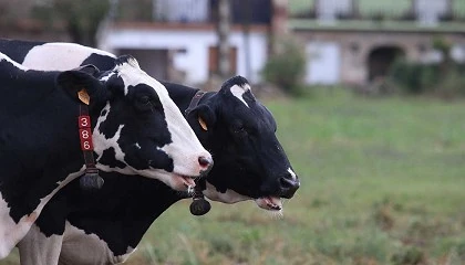 Foto de Nestl reduce en ms de 43.600 toneladas las emisiones de CO2 equivalente de las granjas que le suministran leche