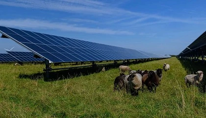 Foto de O alvorecer da agricultura solar fotovoltaica