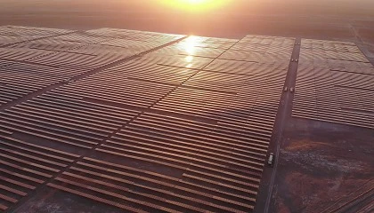 Foto de Soltec: impulsando el hidrógeno verde a través de innovación fotovoltaica