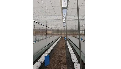 Foto de Sistema híbrido pasivo de refrigeración y calefacción para invernaderos mediterráneos: estudio en un cultivo de pimiento