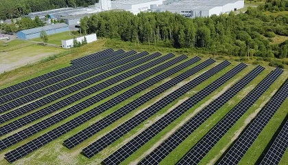 Foto de AkzoNobel pone en marcha en Polonia su mayor planta de energa solar europea