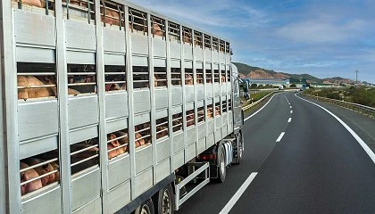 Foto de CETM retoma sus jornadas sobre el borrador del nuevo reglamento europeo