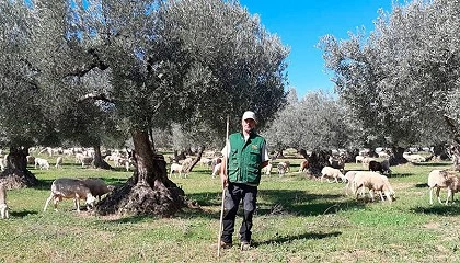 Foto de Relacin de ganadores de los XV Premios a la Viabilidad de las Ganaderas de Ovino