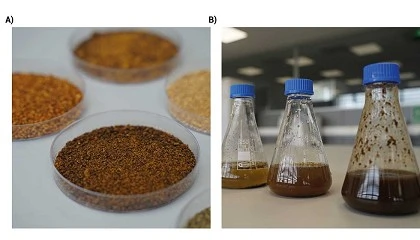 Foto de Innovacin biotecnolgica en la valorizacin de subproductos orgnicos como ingredientes de alto valor para las industrias de suplementacin nutricional y cosmtica