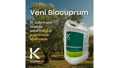 Foto de Koppert ofrece con Veni Biocuprum un suministro constante de cobre que permite reducir la dosis total por hectrea