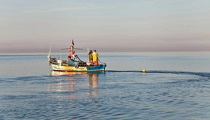 Foto de Espaa fue el pas de la UE que ms pescado captur en 2023, un 21% del total