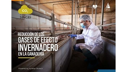 Foto de Proyecto SINGEI, bonos de carbono para mejora del relevo generacional