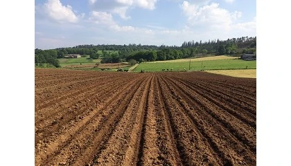 Foto de La Universidad de Crdoba participa en un ambicioso proyecto de clasificacin de los suelos en Europa