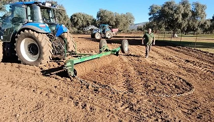 Foto de El Cicytex implementa buenas prcticas de gestin de pastos en reas de dehesa