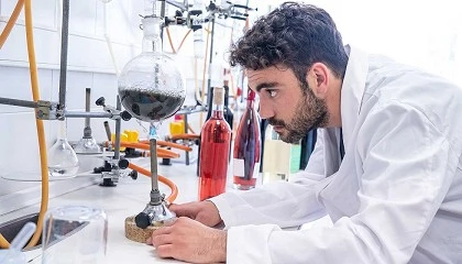 Foto de UBAVIDA, el proyecto de innovacin que desarrollar estrategias sostenibles para la obtencin de uva de baja concentracin de azcares y vino desalcoholizado