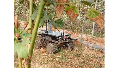 Foto de El GO Bioterrabot propone un nuevo enfoque en la gestin del suelo en agricultura ecolgica