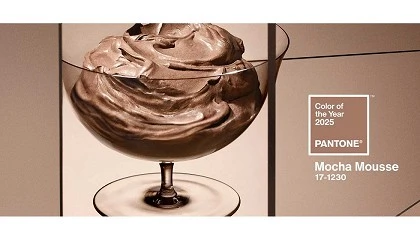 Foto de Pantone 2025: el Mocha Mousse marca tendencia