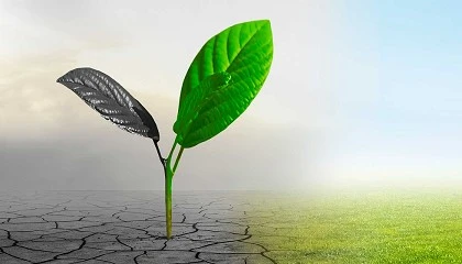 Foto de Agripremissas para um futuro promissor