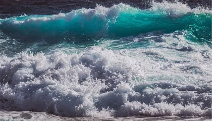 Foto de Aprovechando los recursos del mar