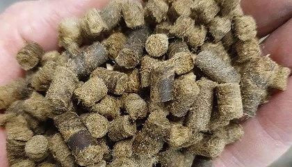 Foto de Grazalema tendr una nueva fbrica de pellets para convertir lana en fertilizante