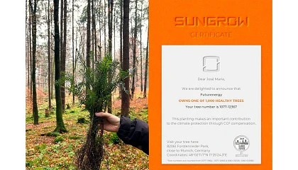 Foto de Sungrow planta un rbol en nombre de FuturEnergy