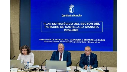 Foto de El sector del pistacho de Castilla-La Mancha crear una figura de calidad y una interprofesional