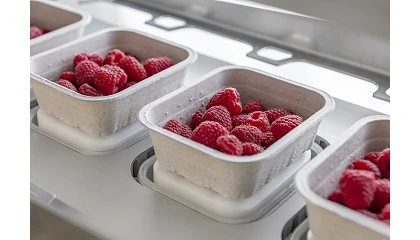 Foto de Multivac acude a Fruit Logistica con sus soluciones de envasado para productos frescos