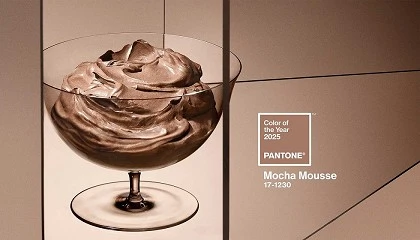 Foto de Mocha Mousse es el Color del Ao segn Pantone