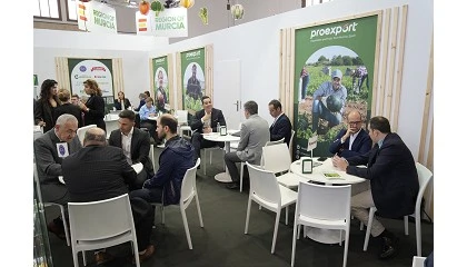 Foto de Las empresas de Proexport se citan en Berln con clientes internacionales para impulsar las ventas de frutas y hortalizas 'made in Spain'