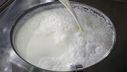 Foto de Hallan biomarcadores de eficiencia alimentaria en el transcriptoma de la leche de oveja