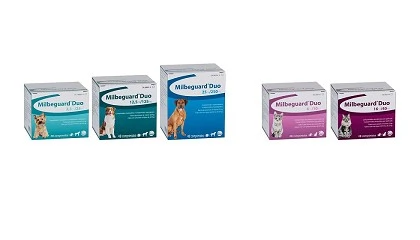 Foto de Milbeguard Duo, el nuevo antiparasitario interno de amplio espectro de Ceva Salud Animal para perros y gatos