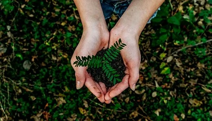 Foto de Konica Minolta lidera el camino hacia un futuro ms sostenible