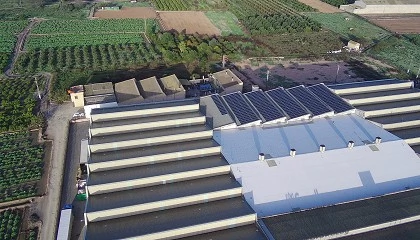 Foto de Kostal implanta su tecnologa en la planta solar de un centro logstico hortofrutcola de Valencia