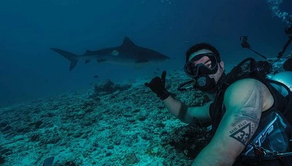 Foto de Disfruta del buceo sin complicaciones gracias a Scuba Finders