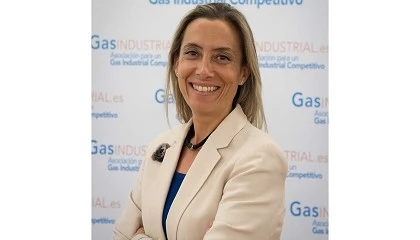 Foto de Ganar competitividad, objetivo de la industria gasintensiva en 2025