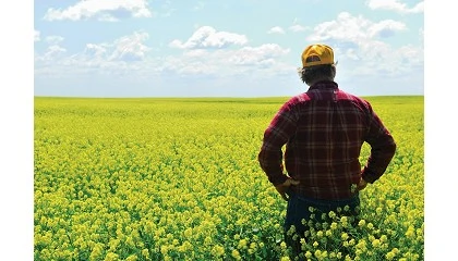 Foto de La urgencia del relevo generacional en el campo: en 10 aos se podra jubilar casi el 70% de los agricultores