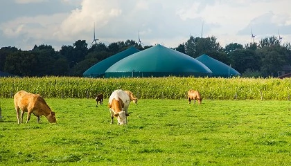 Foto de Moeve invertir 600 millones de euros para desarrollar 30 plantas de biometano en Espaa