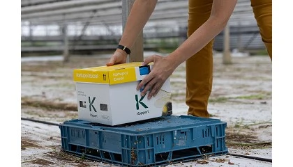 Foto de Las colmenas Natupol de Koppert, ahora con menos plstico y mejor rendimiento con temperaturas extremas