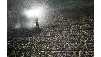 Foto de Advierten de la reduccin del 4,8% de las empresas agrarias en los ltimos 4 aos en Espaa