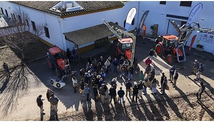 Foto de Las claves de una poda eficiente para cada variedad de olivar