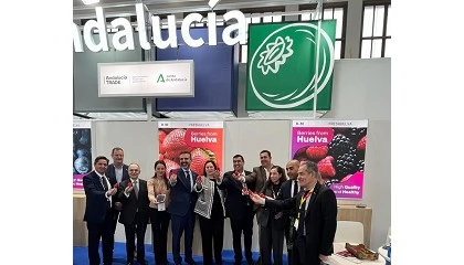 Foto de Freshuelva fortalece en Fruit Logistica sus alianzas internacionales para la promocin de los frutos rojos