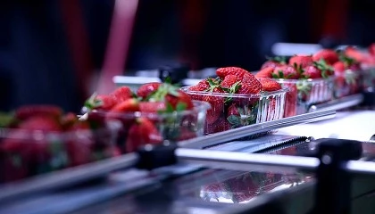 Foto de Produccin segura de alimentos de origen vegetal: un enfoque holstico de la prevencin de la contaminacin