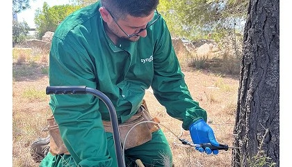 Foto de Syngenta obtiene el registro de Revive II para el control de la procesionaria del pino en conferas