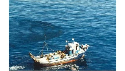 Foto de El MAPA abre a consulta pblica la orden de ayudas para el cambio de mallas en las redes de pesca de arrastre en el Mediterrneo