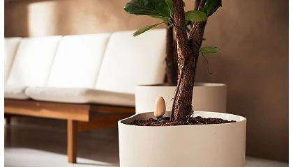 Foto de elho Smart Pebble, el asistente digital para el cuidado de las plantas