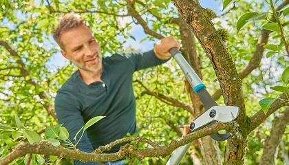 Foto de Nuevos cortarramas manuales Gardena: diseo afilado para un corte potente