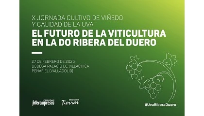 Foto de El futuro de la viticultura en la Ribera del Duero, a debate en Peafiel el prximo 27 de febrero