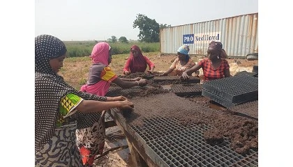 Foto de Tomato Jos Farming and Processing Limited gana el Premio Save Food 2024