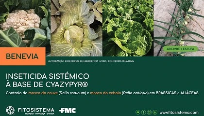 Foto de DGAV: Autorizao Excecional de Emergncia para controlo da mosca da couve e mosca da cebola