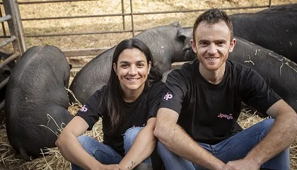 Foto de Criar cerdos como vacas, al aire libre, el sello de dpags
