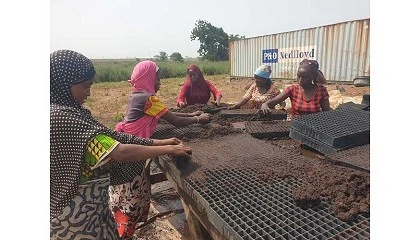 Foto de Tomato Jos Farming and Processing Limited ganha prmio Save Food Award 2024
