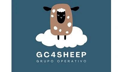 Foto de El Grupo Operativo GC4Sheep llega a su fin con grandes resultados para el sector ovino