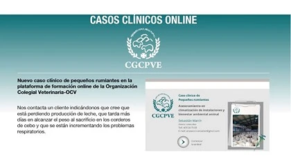 Foto de Nuevo caso clnico de pequeos rumiantes en la plataforma de formacin de la OCV